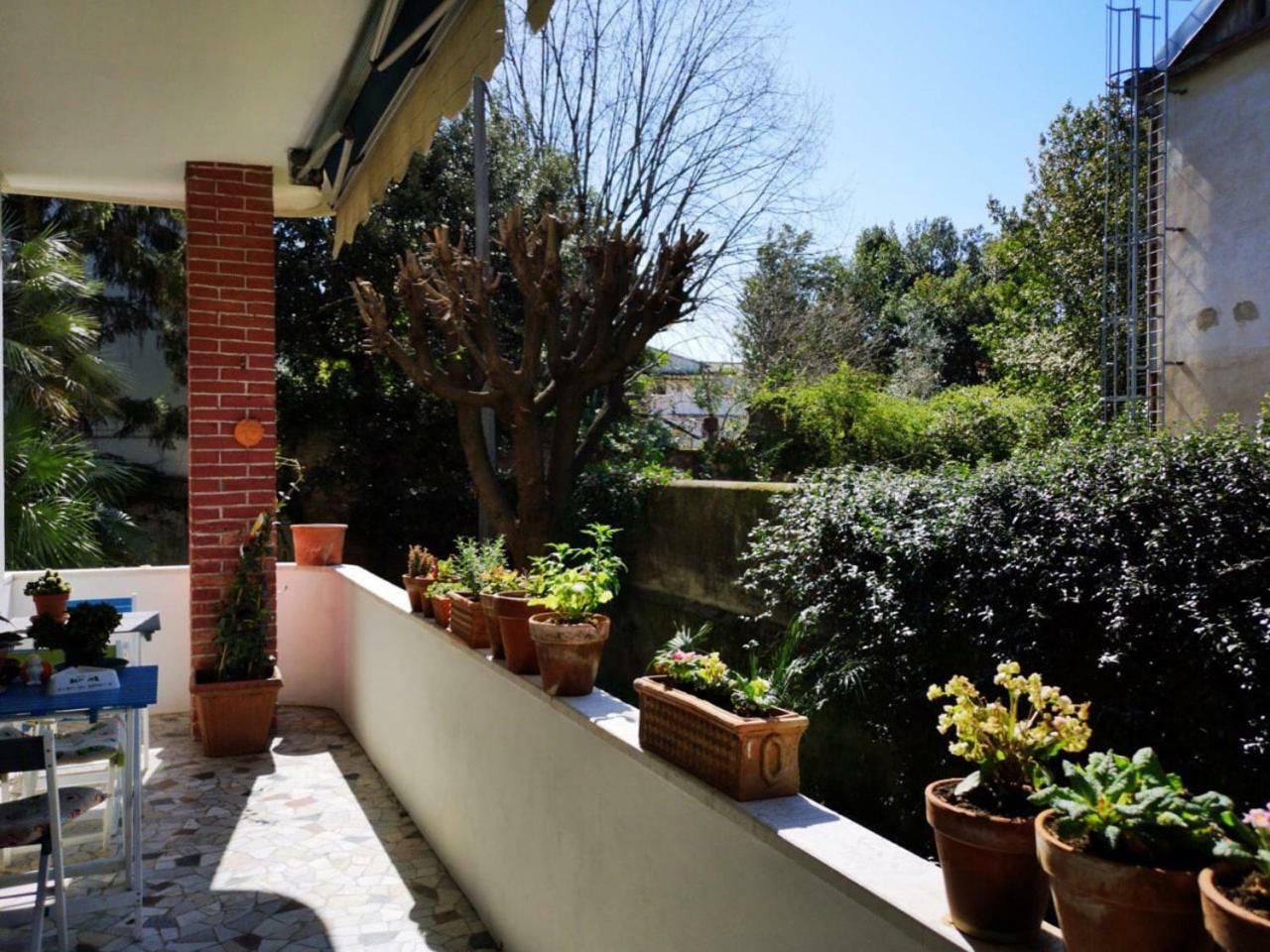 Wanderlust Bnb Πίζα Εξωτερικό φωτογραφία
