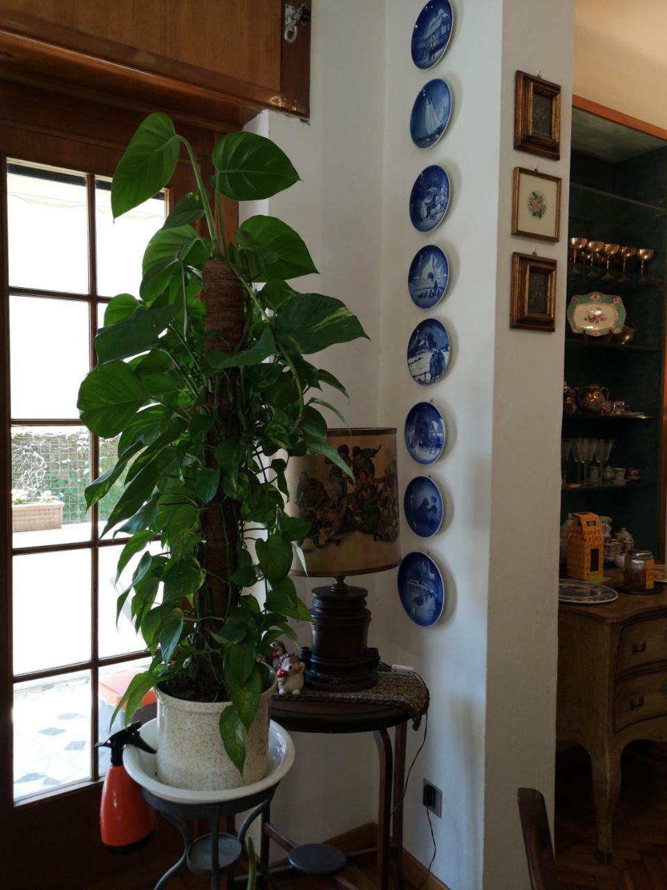 Wanderlust Bnb Πίζα Εξωτερικό φωτογραφία